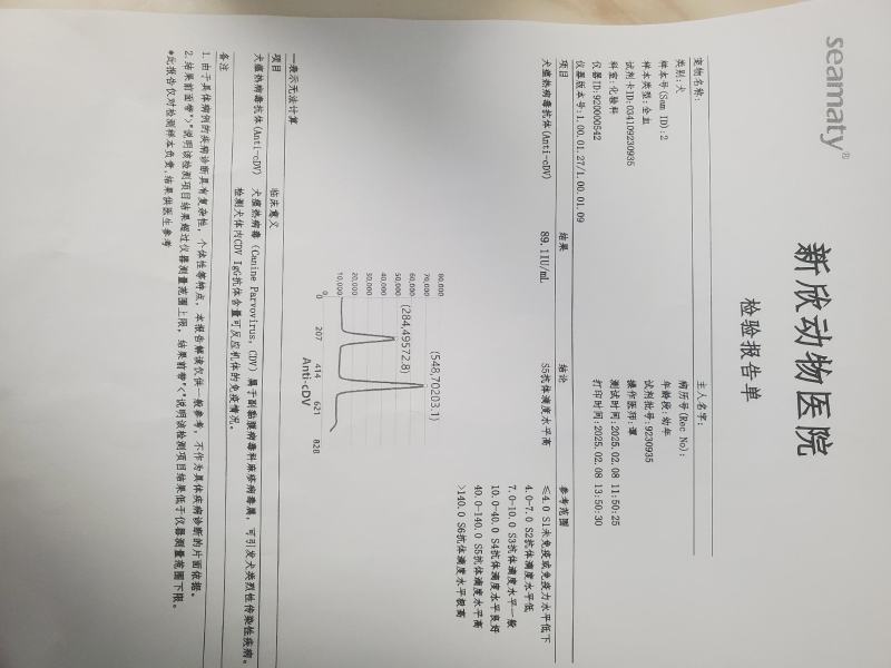 拉布拉多幼犬-个人豢养-3个月