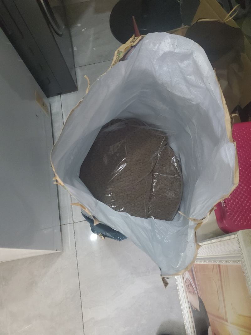 拉布拉多幼犬-个人豢养-3个月