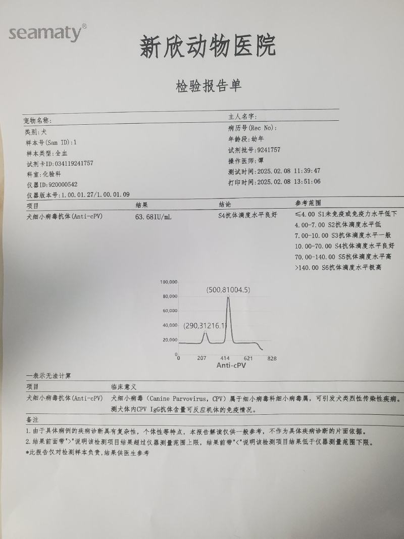 拉布拉多幼犬-个人豢养-3个月