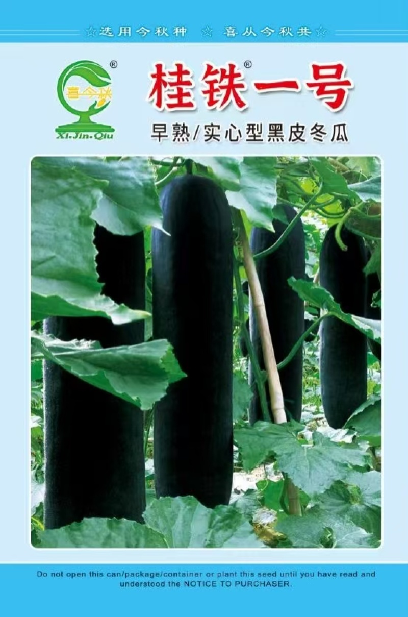 桂铁一号早熟型黑皮冬瓜较耐寒瓜皮墨绿光滑整齐耐贮运