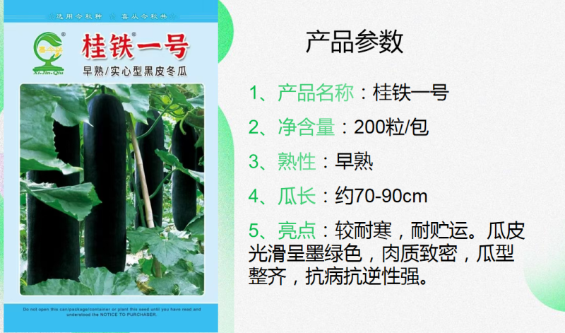 桂铁一号早熟型黑皮冬瓜较耐寒瓜皮墨绿光滑整齐耐贮运