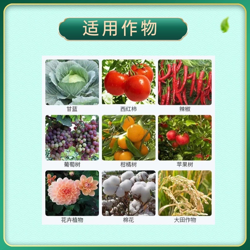 25%吡唑醚菌酯杀菌剂白粉炭疽广谱杀菌保护治疗