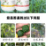 农用促花座果促花叶面肥花芽分化保花保果防落防裂水溶肥料