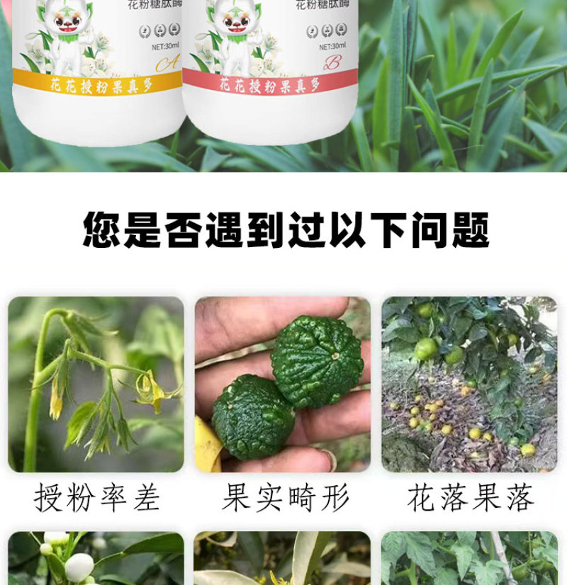 农用促花座果促花叶面肥花芽分化保花保果防落防裂水溶肥料