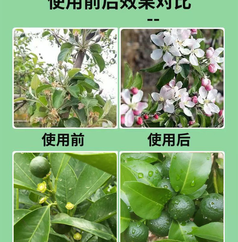 农用促花座果促花叶面肥花芽分化保花保果防落防裂水溶肥料