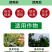农用促花座果促花叶面肥花芽分化保花保果防落防裂水溶肥料
