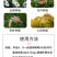 农用促花座果促花叶面肥花芽分化保花保果防落防裂水溶肥料