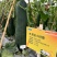 【黑金小铁锤】杂交一代中型冬瓜皮墨绿心腔小肉质紧
