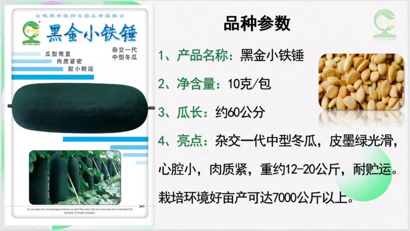 【黑金小铁锤】杂交一代中型冬瓜皮墨绿心腔小肉质紧