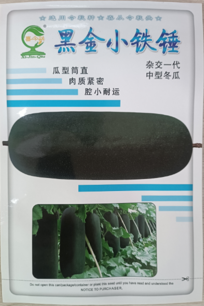 【黑金小铁锤】杂交一代中型冬瓜皮墨绿心腔小肉质紧