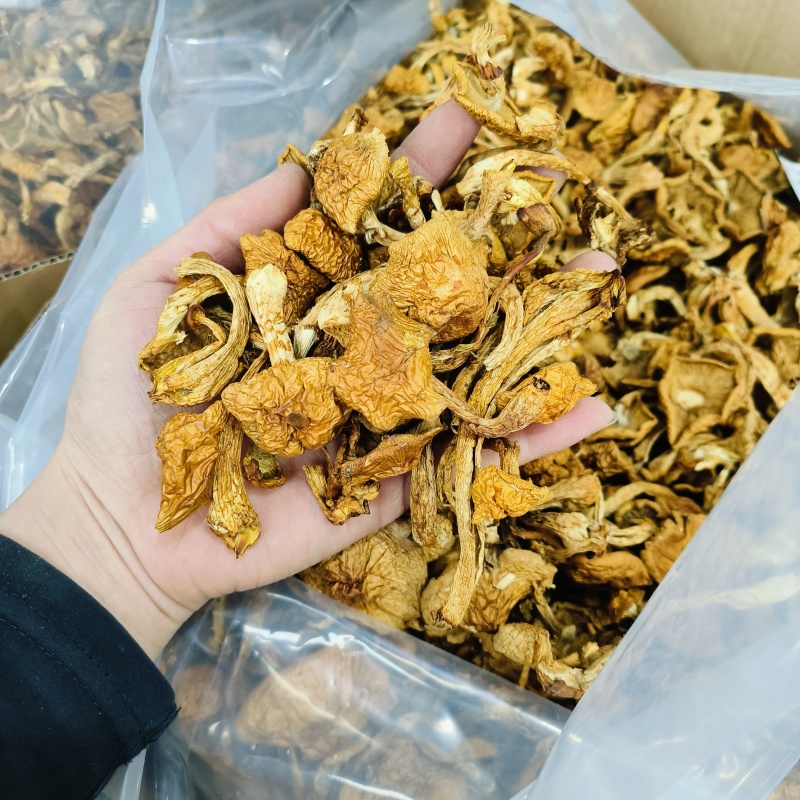 东北特产山珍野生小黄蘑农家晾晒天然美味营养品500g包邮