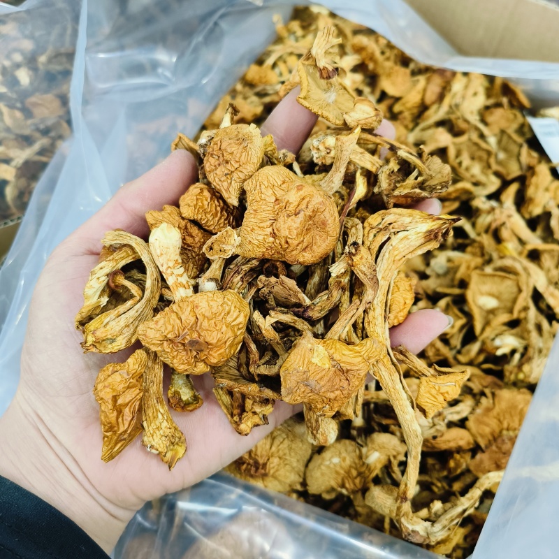 东北特产山珍野生小黄蘑农家晾晒天然美味营养品500g包邮