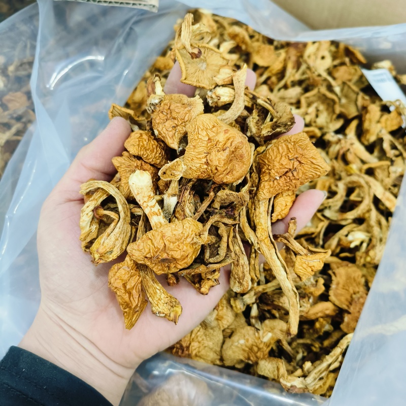 东北特产山珍野生小黄蘑农家晾晒天然美味营养品500g包邮