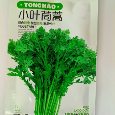 小叶茼蒿种子-口感清香鲜香脆嫩口感佳可凉拌/炒食