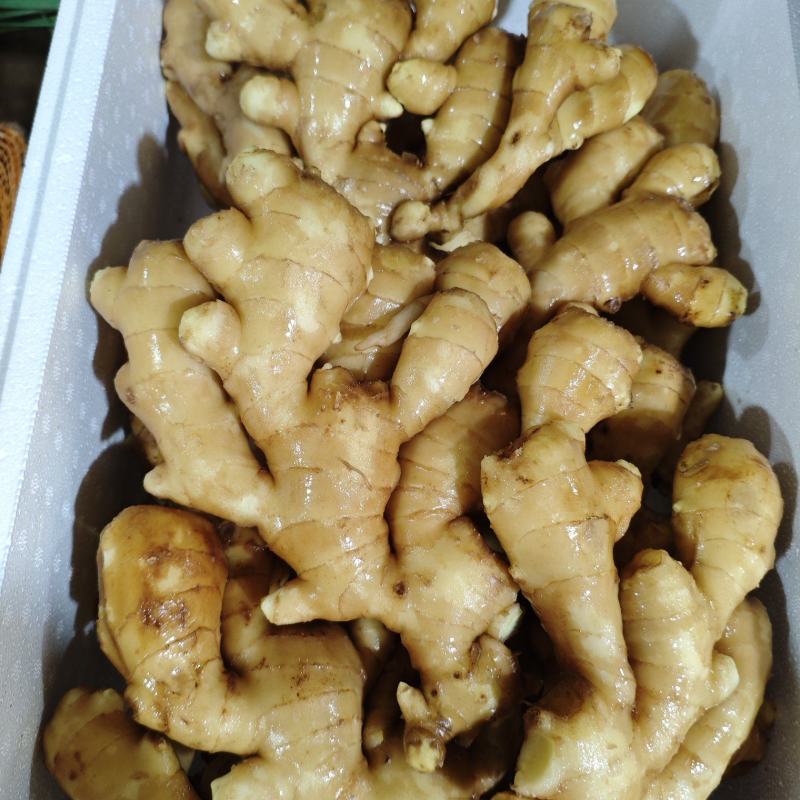 水洗大黄姜