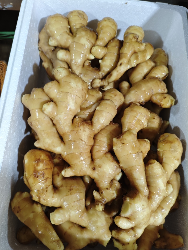 水洗大黄姜