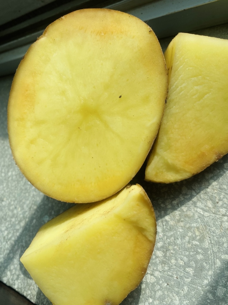 甘肃精品土豆大量供应，黄心土豆，货源充足需要的客户来