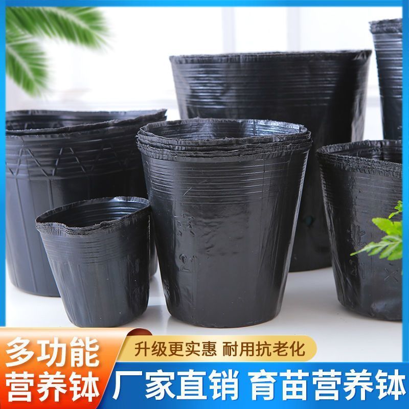 育苗杯营养钵育苗盆种植穴盘塑料营养袋育苗袋一次性花盆营