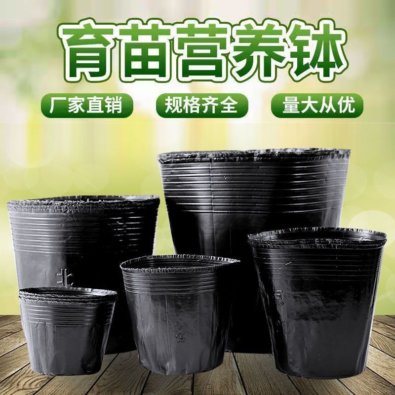 育苗杯营养钵育苗盆种植穴盘塑料营养袋育苗袋一次性花盆营