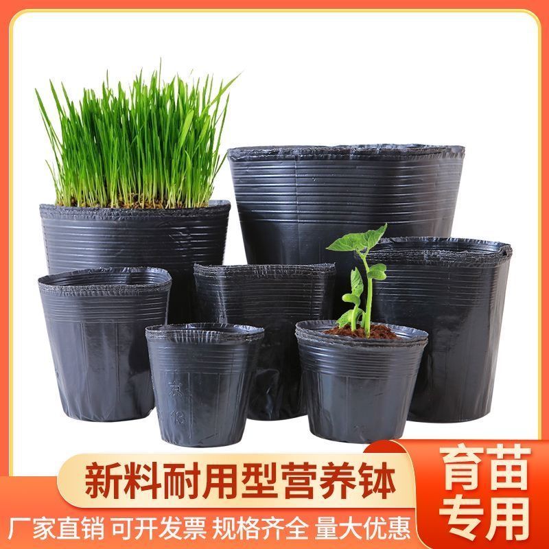 育苗杯营养钵育苗盆种植穴盘塑料营养袋育苗袋一次性花盆营