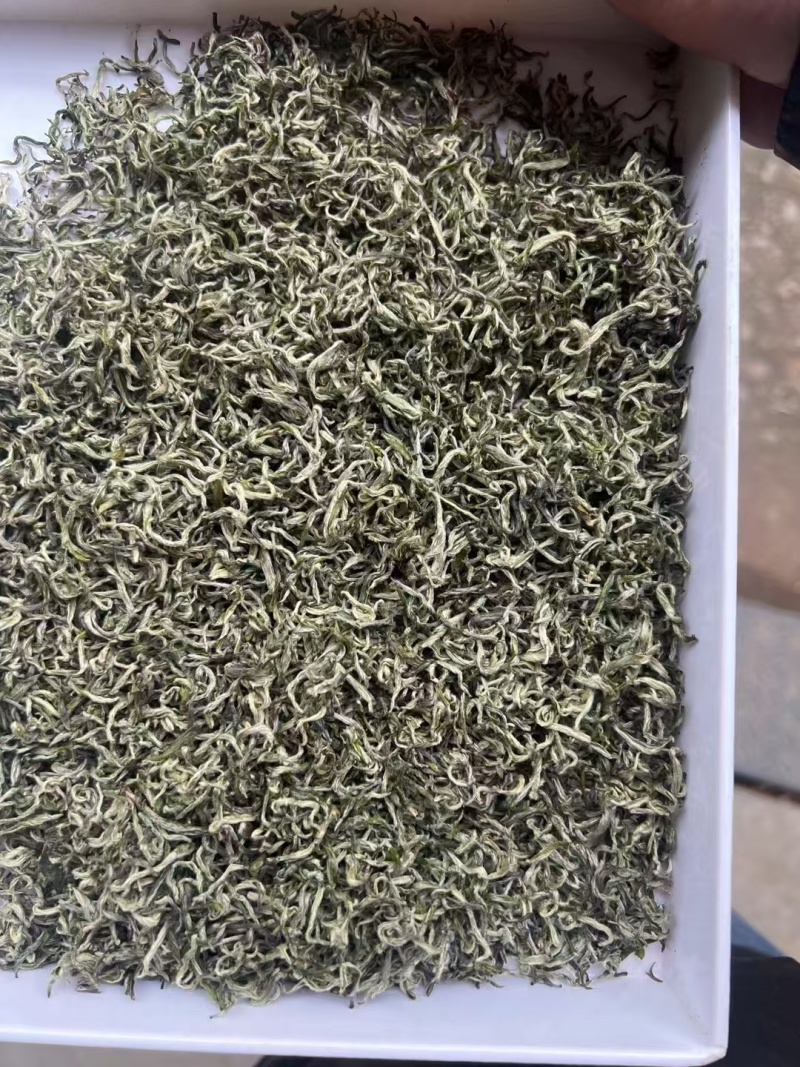 2025年新茶碧螺春纯单芽绿茶