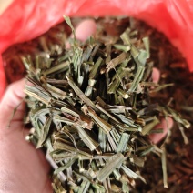 四棱筋骨草1公斤中药材筋骨草四愣草箭羽草箭羽舒筋草四楞筋骨草