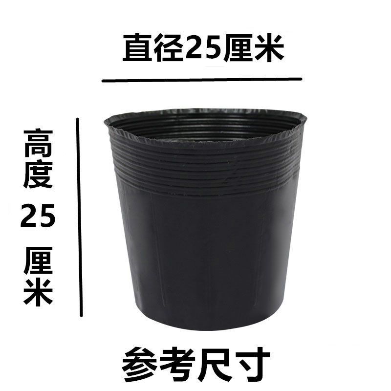 育苗杯营养钵育苗盆种植穴盘塑料营养袋育苗袋一次性花盆营
