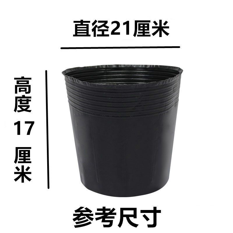 育苗杯营养钵育苗盆种植穴盘塑料营养袋育苗袋一次性花盆营