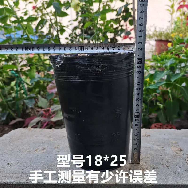 育苗杯营养钵育苗盆种植穴盘塑料营养袋育苗袋一次性花盆营
