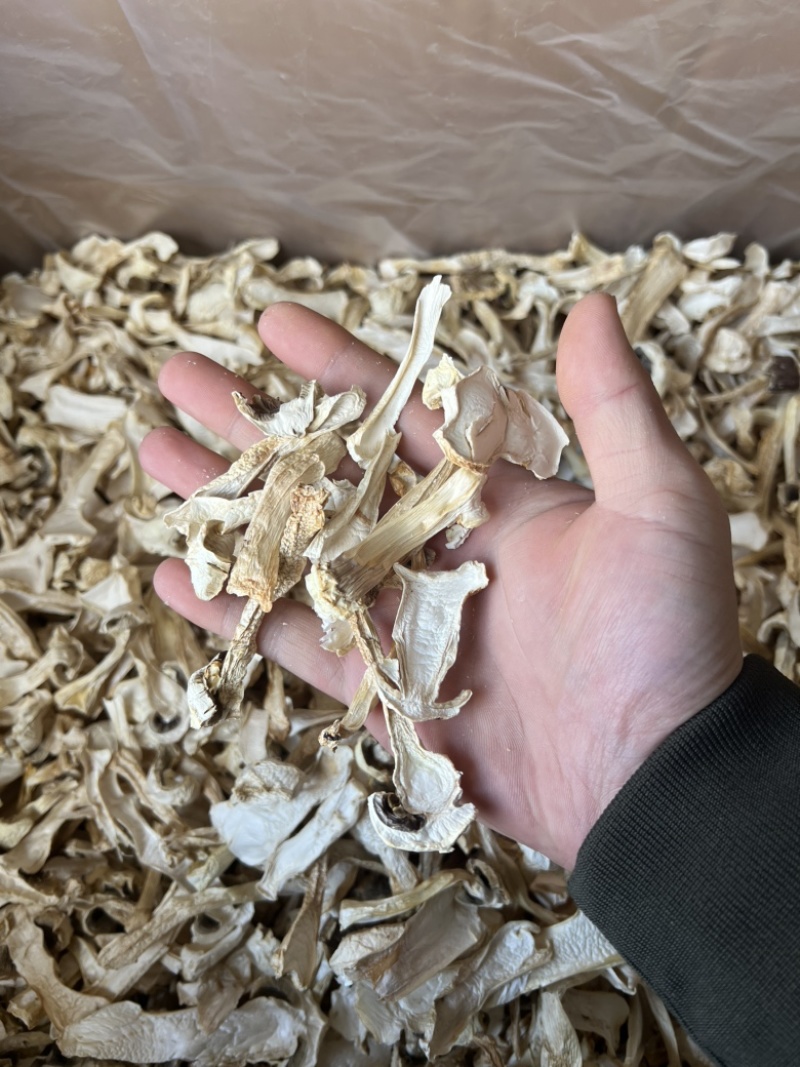 球盖菇干片，1公分筛子过灰