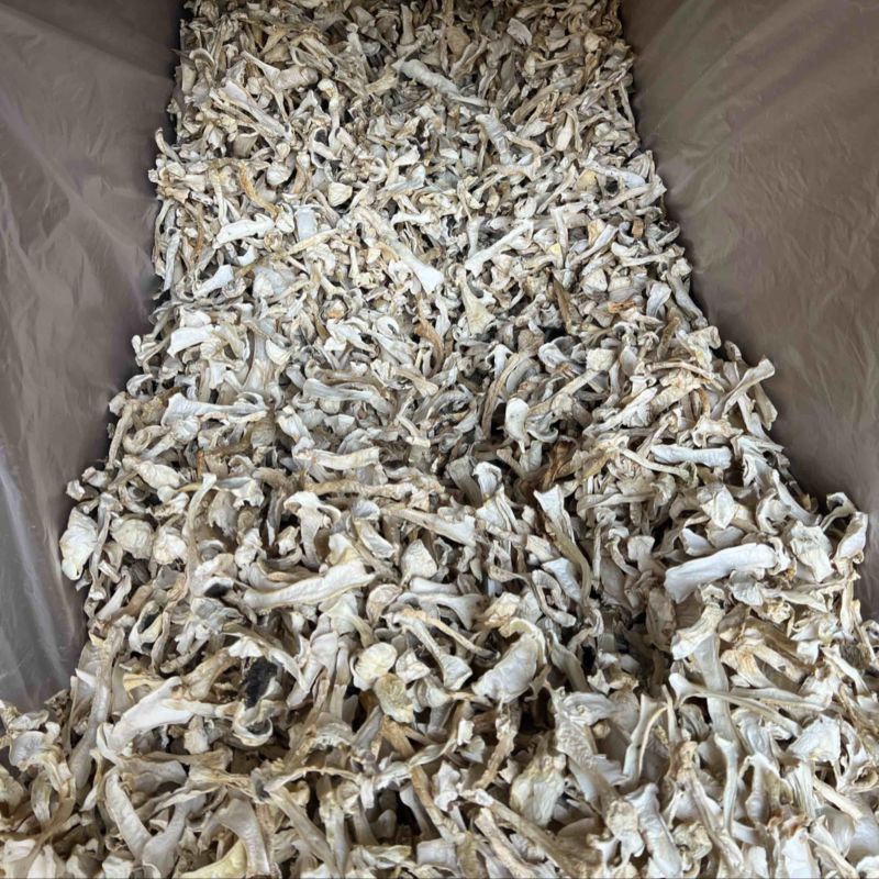 球盖菇干片，1公分筛子过灰