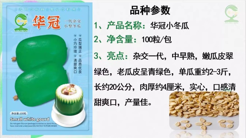 【华冠小冬瓜】杂交一代中早熟实心口感清甜爽口产量佳