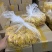 精品越南A级芒果干工厂直销一手货源规格齐全