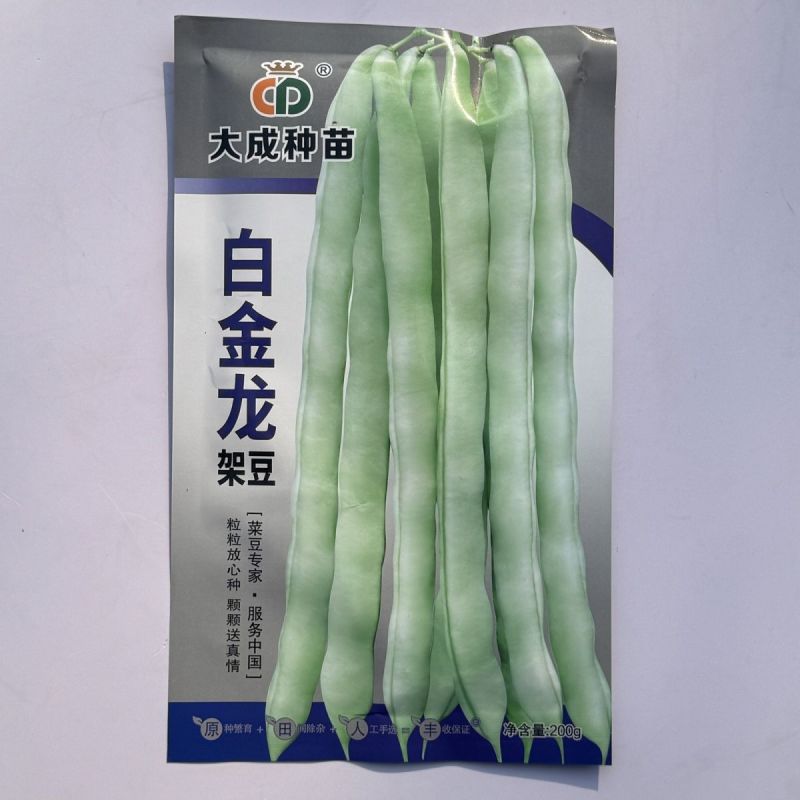 白金龙架豆芸豆种子圆扁型高产抗病四季豆正品刀豆角架豆王搭