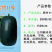 黑竹11号小型黑皮冬瓜早熟座瓜率高耐贮运心腔小脆甜