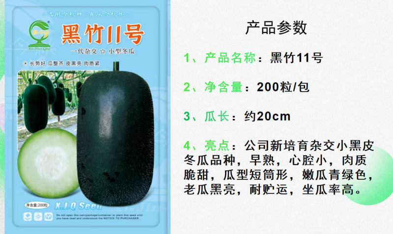 黑竹11号小型黑皮冬瓜早熟座瓜率高耐贮运心腔小脆甜