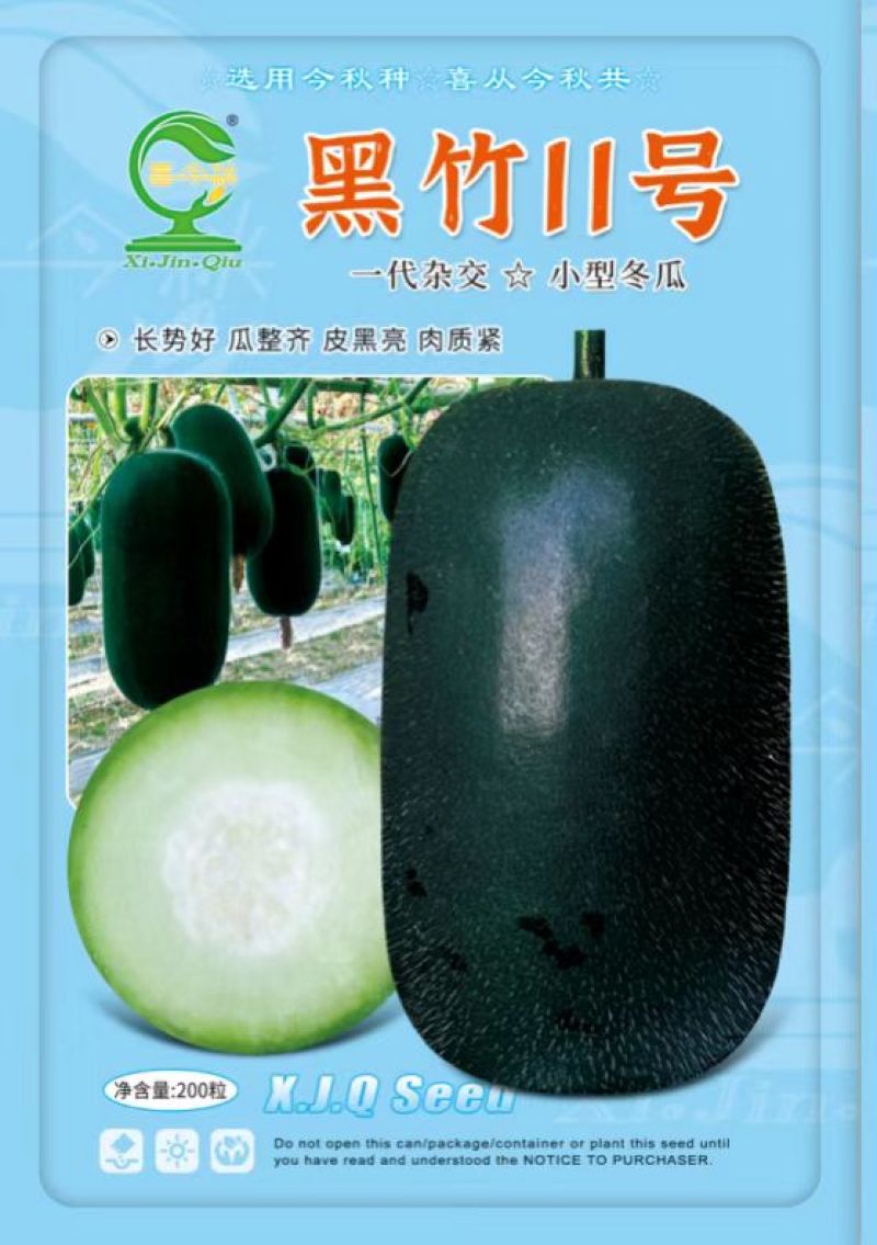 黑竹11号小型黑皮冬瓜早熟座瓜率高耐贮运心腔小脆甜