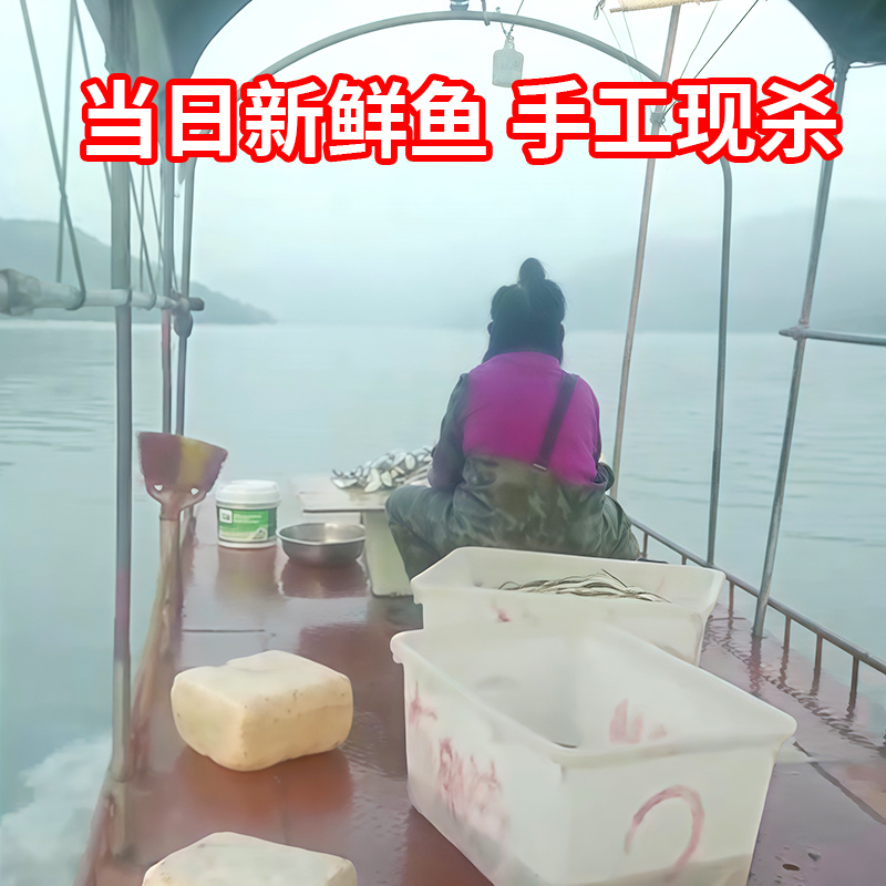 翘嘴鱼干大白条鱼干货18-30厘米厂家直供