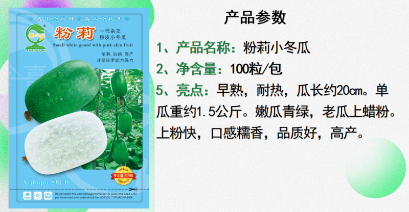 【粉莉小冬瓜】优质杂交早熟上粉快白肉口感软糯
