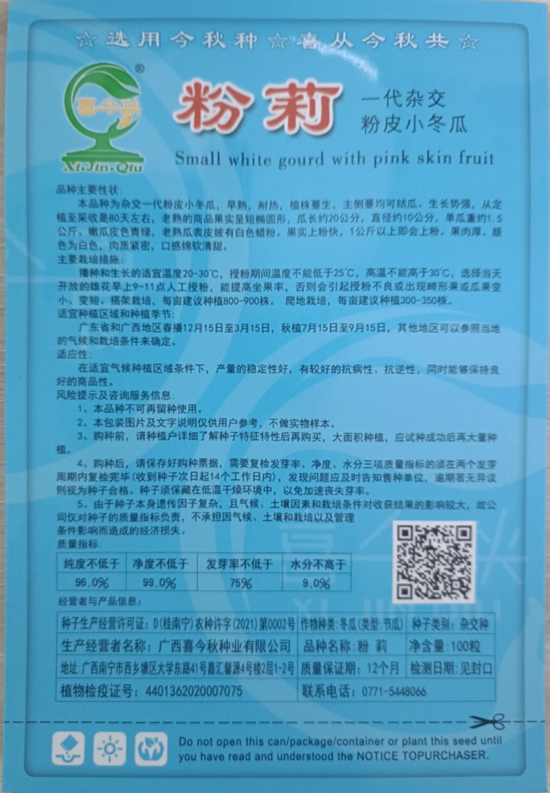 【粉莉小冬瓜】优质杂交早熟上粉快白肉口感软糯