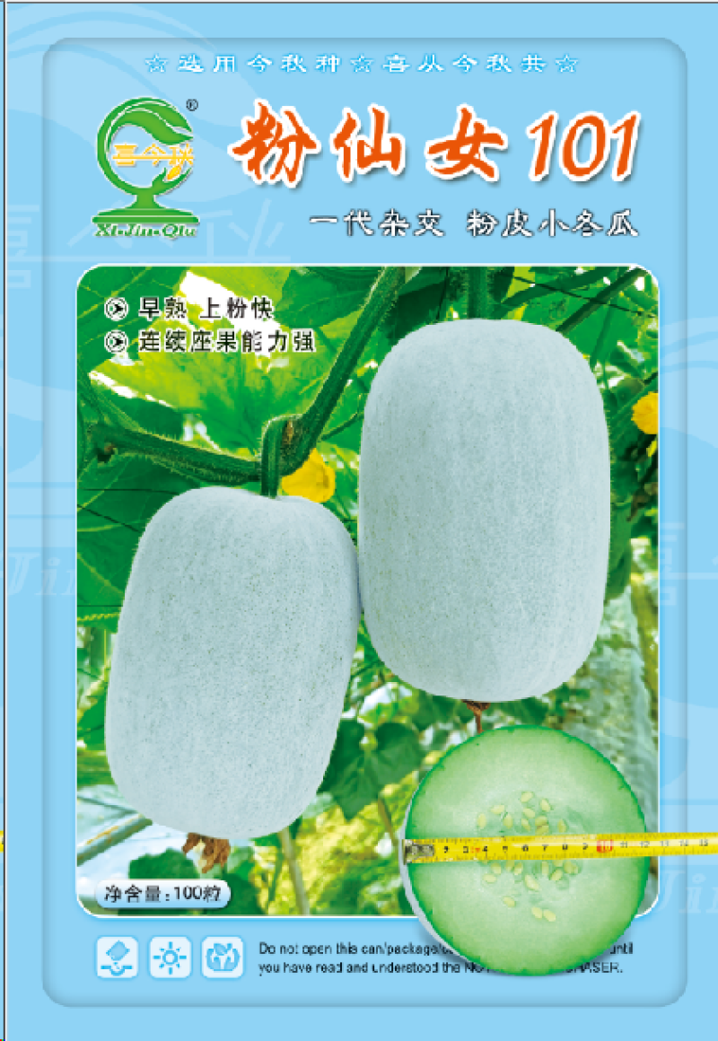 【粉仙女101小冬瓜】早熟上粉快口感脆甜产量佳