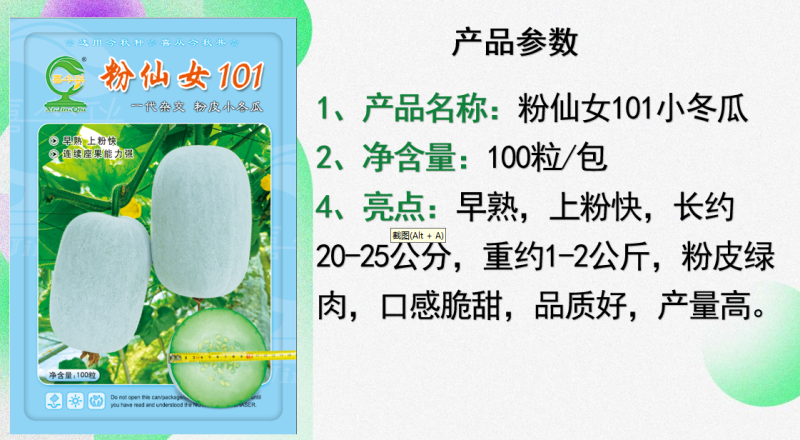 【粉仙女101小冬瓜】早熟上粉快口感脆甜产量佳