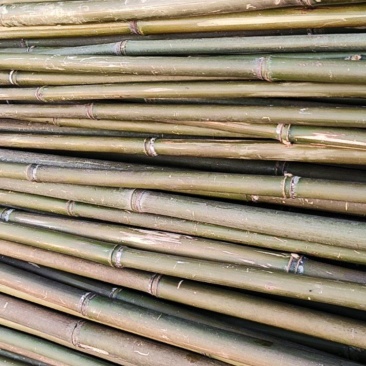 野生小竹竿可做植物架只能做小量。量大别找我。对不起！