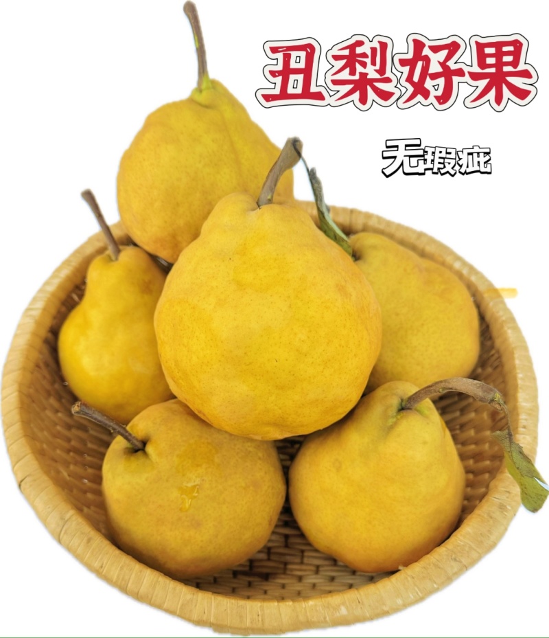 烟台精品丑梨，软糯香甜，产地直发，对接市场
