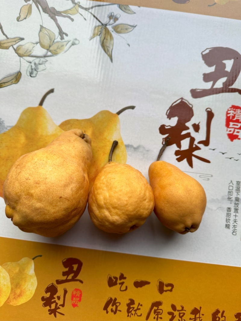 烟台精品丑梨，软糯香甜，产地直发，对接市场