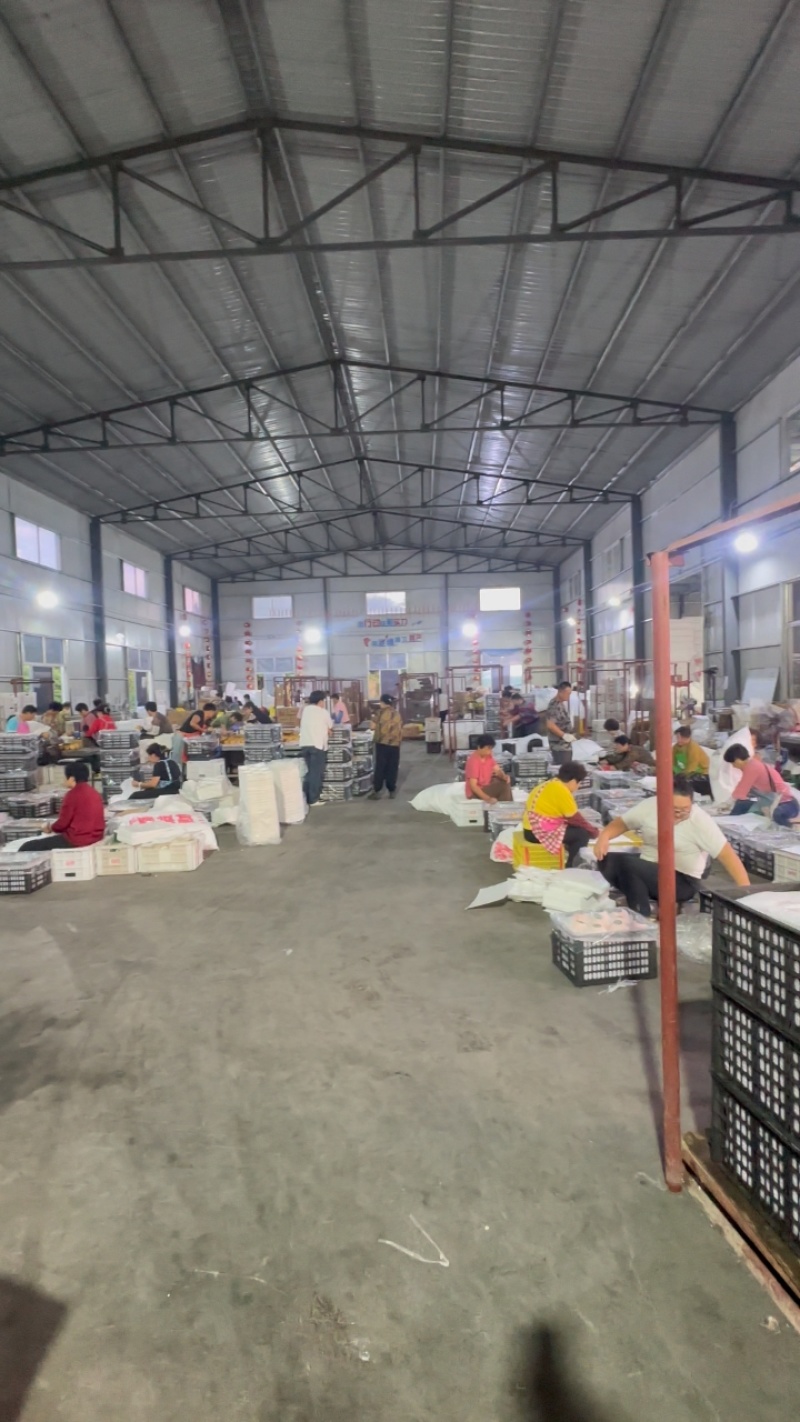 烟台精品丑梨，软糯香甜，产地直发，对接市场