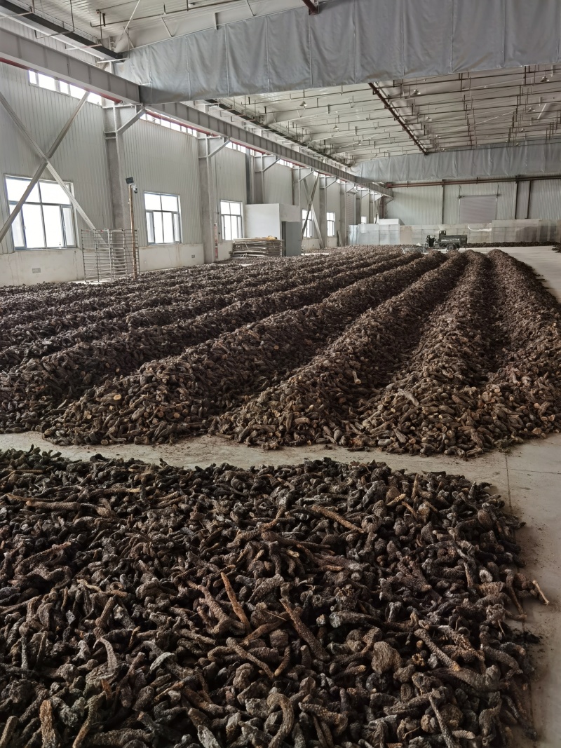 新疆大芸肉苁蓉沙漠人参药食同源产地一手货源批发零售
