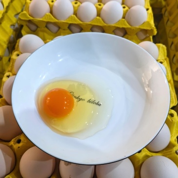 精品鲜鸡蛋正宗走地鸡一手货源直发土鸡蛋粉蛋！