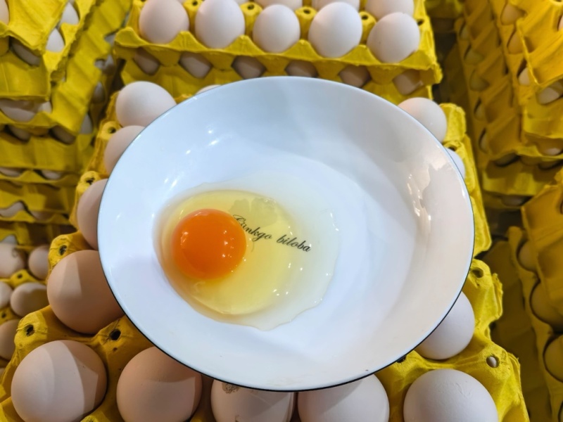 精品鲜鸡蛋正宗走地鸡一手货源直发土鸡蛋粉蛋！