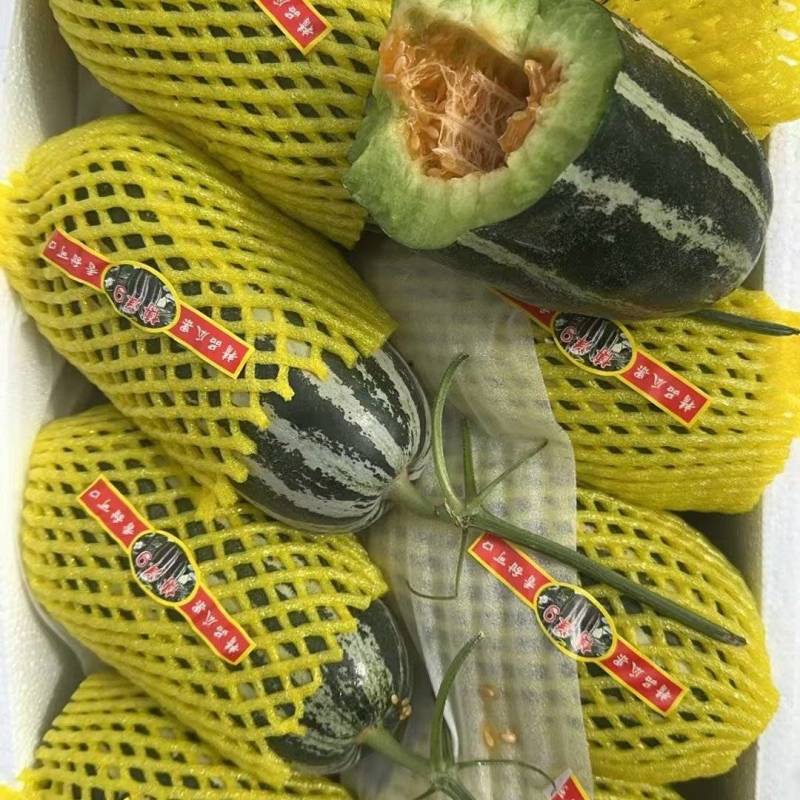 【大量现货】博洋万亩甜瓜基地直供一手货源一手价格，品质